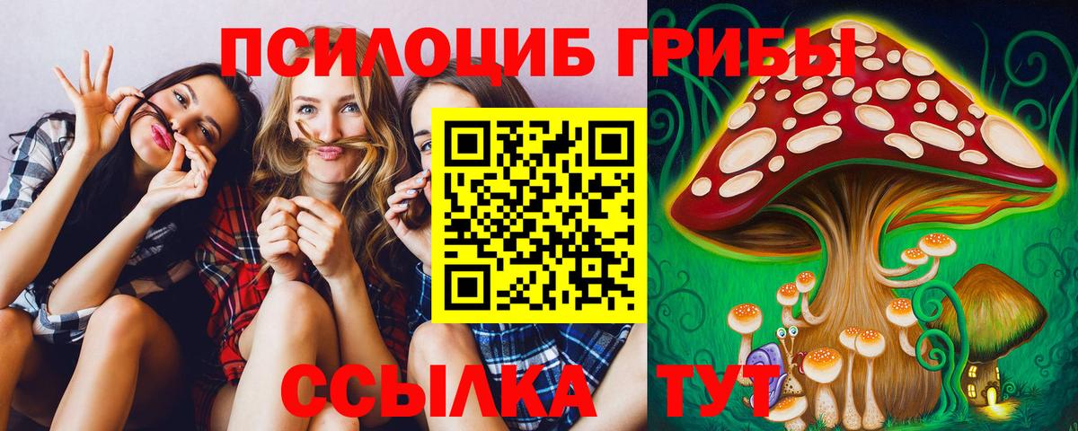 Галлюциногенные грибы GOLDEN TEACHER  Псилоцибиновые грибы прущие грибы  Вход с VPN  Нефтеюганск 